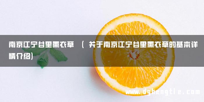 南京江宁谷里薰衣草 (关于南京江宁谷里薰衣草的基本详情介绍)